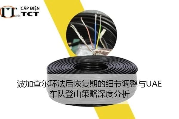bo-jia-cha-er-huan-fa-hou-hui-fu-qi-de-xi-jie-tiao-zheng-yu-che-dui-deng-shan-ce-lve-shen-du-fen-xi-1-469.jpg